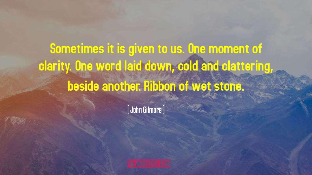 John Gilmore Quotes: Sometimes it is given to