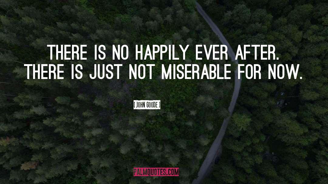 John Goode Quotes: There is no happily ever