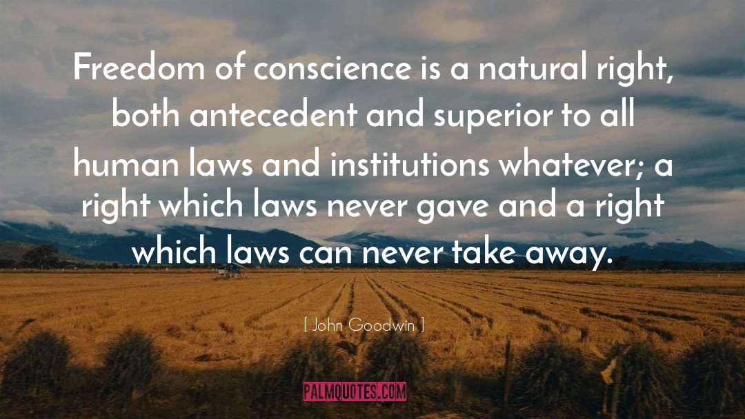 John Goodwin Quotes: Freedom of conscience is a