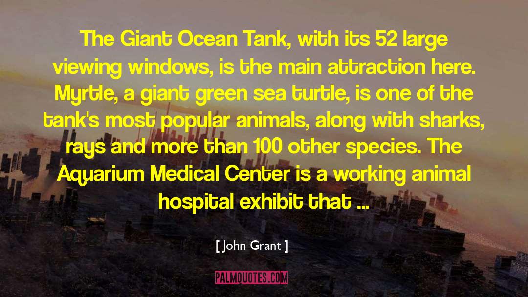 John Grant Quotes: The Giant Ocean Tank, with