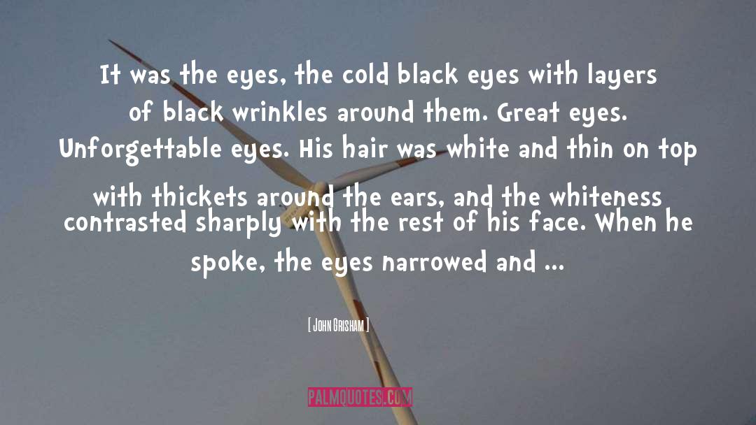 John Grisham Quotes: It was the eyes, the