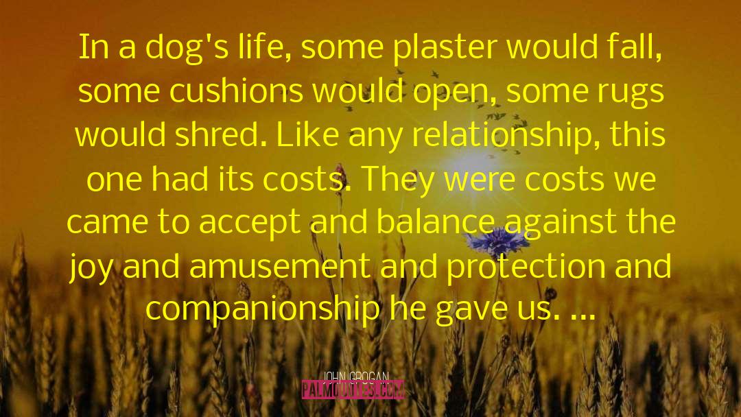John Grogan Quotes: In a dog's life, some