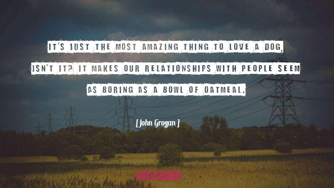 John Grogan Quotes: It's just the most amazing