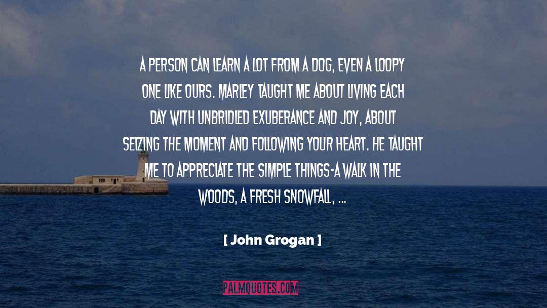 John Grogan Quotes: A person can learn a