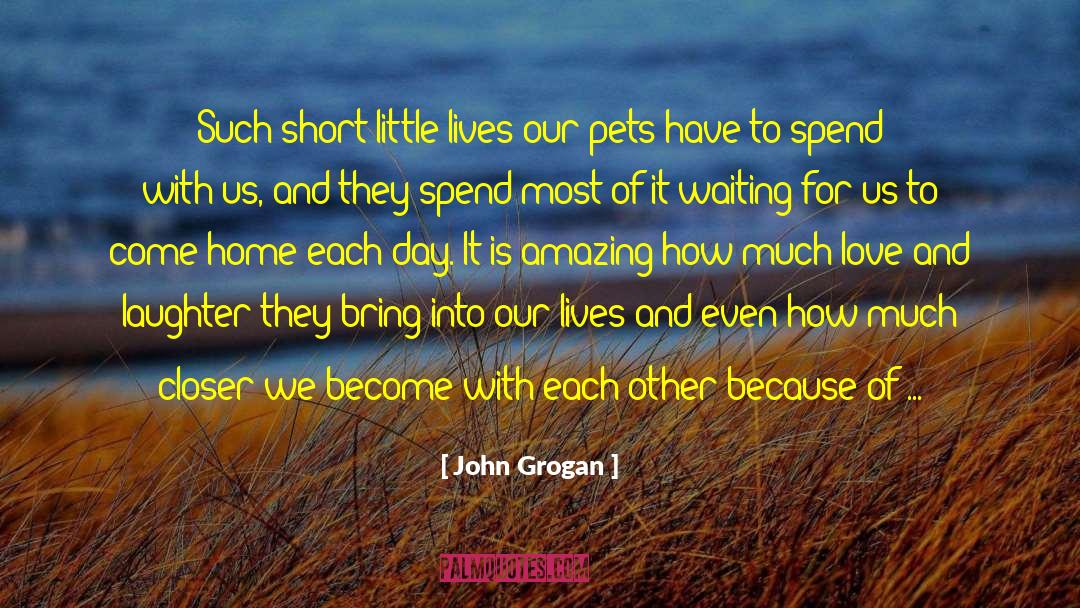 John Grogan Quotes: Such short little lives our