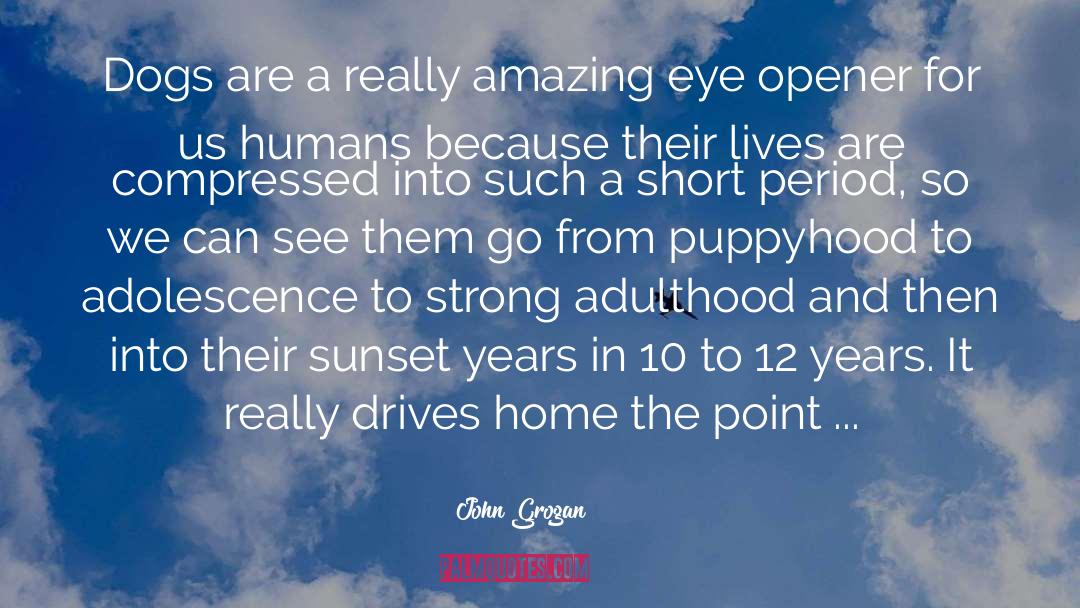 John Grogan Quotes: Dogs are a really amazing