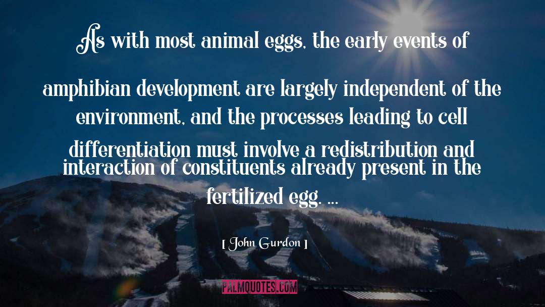 John Gurdon Quotes: As with most animal eggs,
