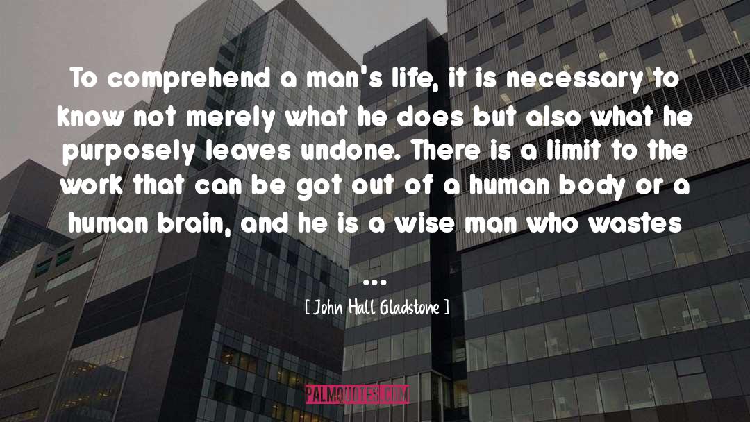 John Hall Gladstone Quotes: To comprehend a man's life,