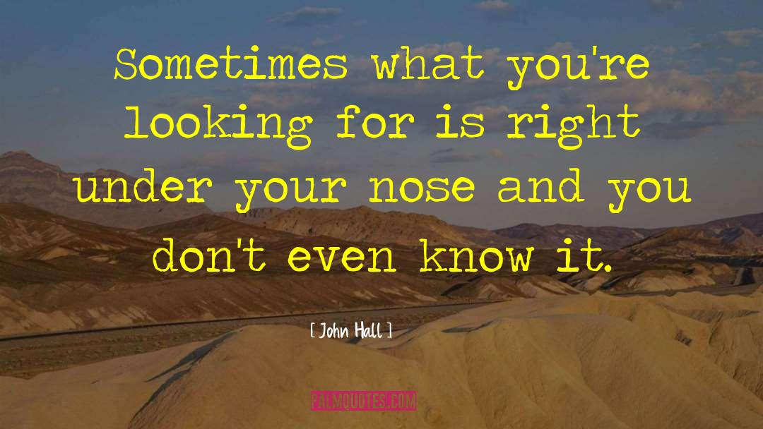 John Hall Quotes: Sometimes what you're looking for