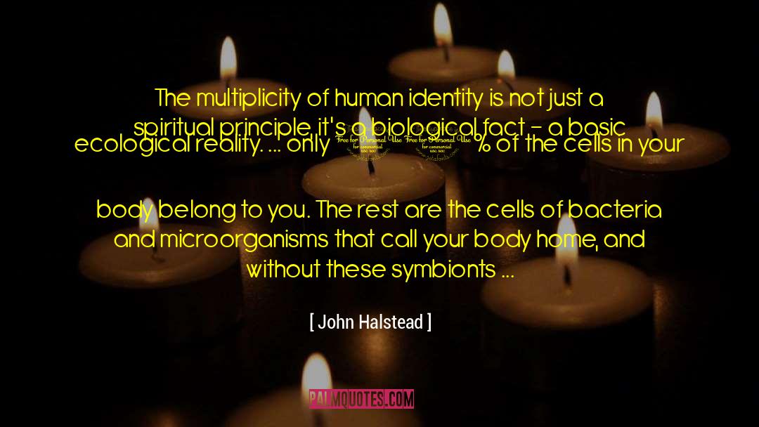 John Halstead Quotes: The multiplicity of human identity