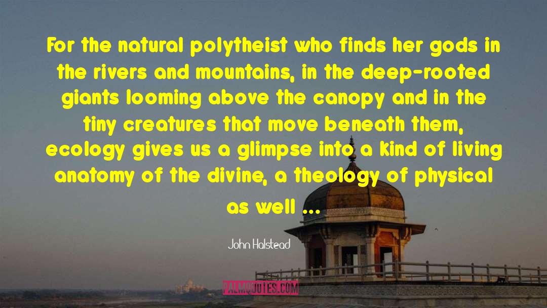 John Halstead Quotes: For the natural polytheist who