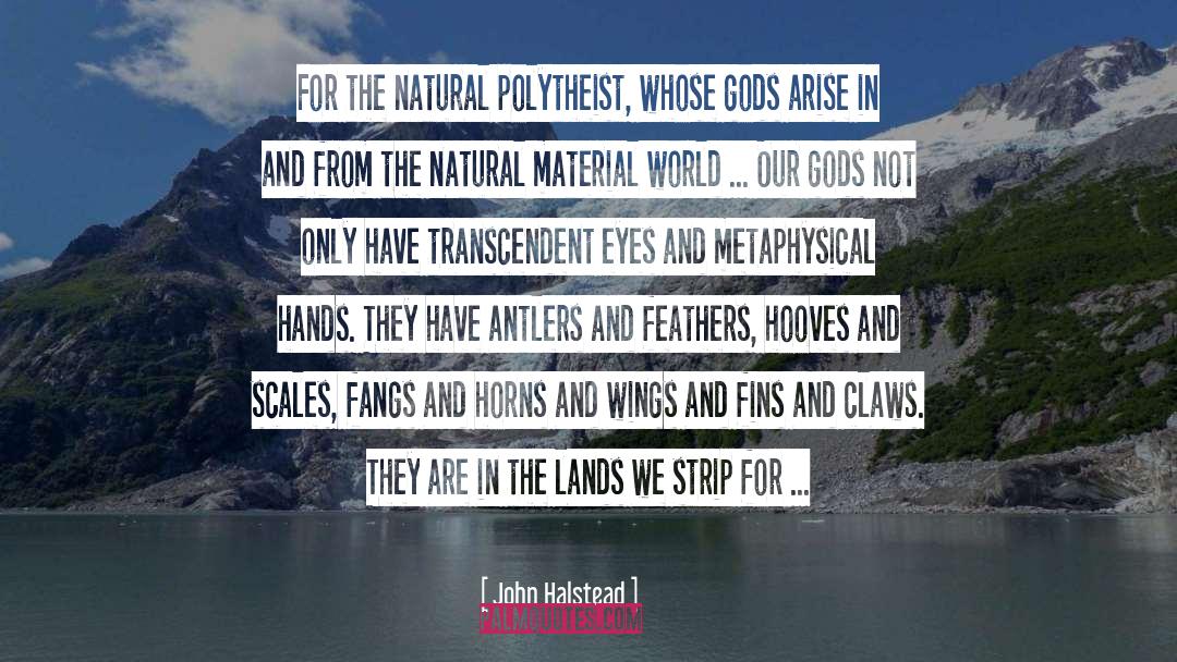 John Halstead Quotes: For the natural polytheist, whose