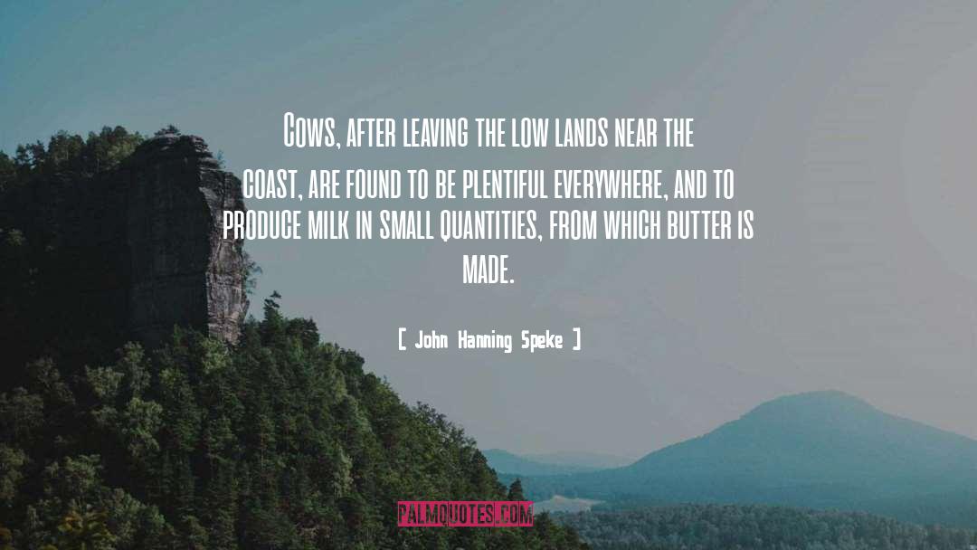 John Hanning Speke Quotes: Cows, after leaving the low