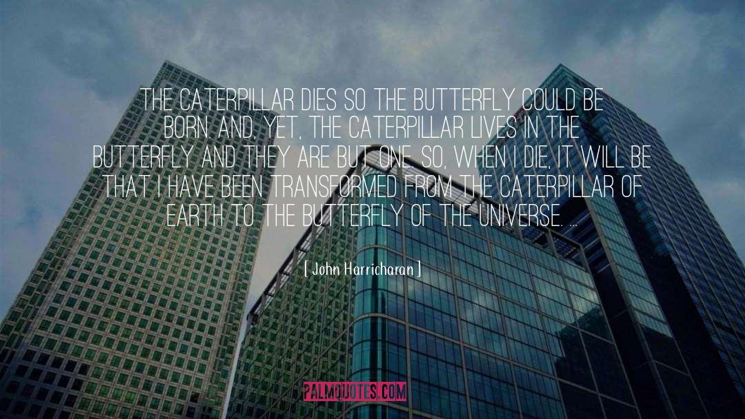 John Harricharan Quotes: The caterpillar dies so the