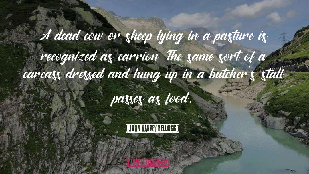 John Harvey Kellogg Quotes: A dead cow or sheep