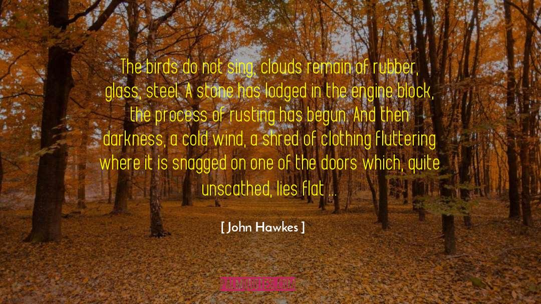 John Hawkes Quotes: The birds do not sing,