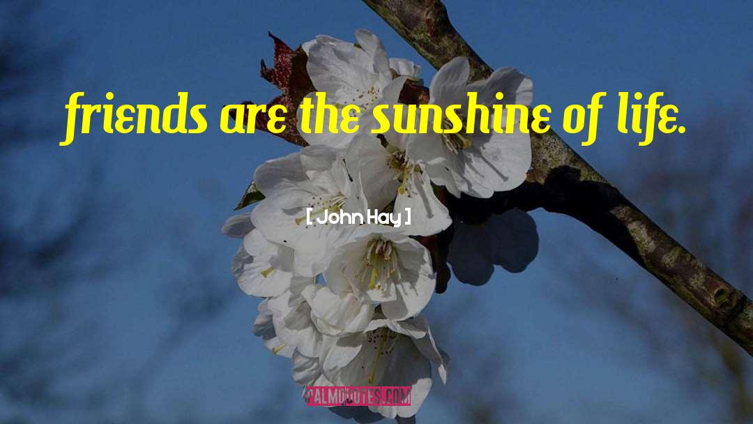 John Hay Quotes: friends are the sunshine of