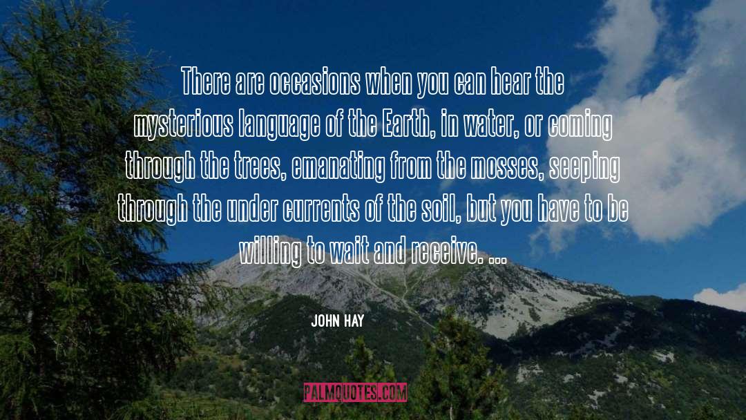 John Hay Quotes: There are occasions when you