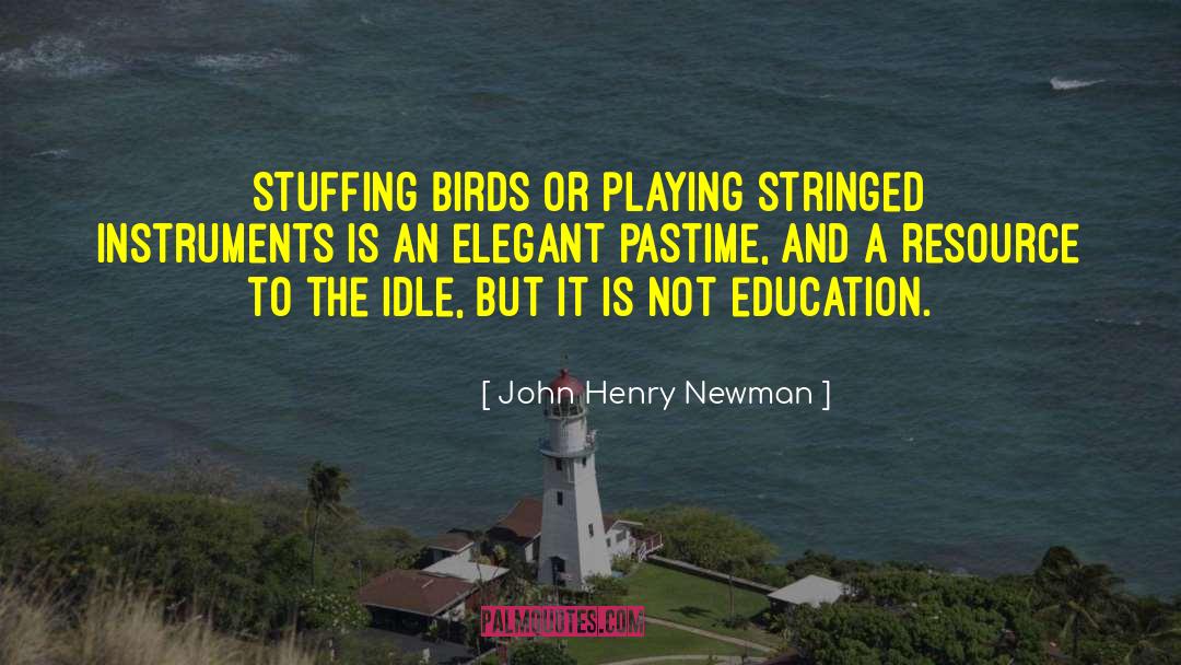 John Henry Newman Quotes: Stuffing birds or playing stringed