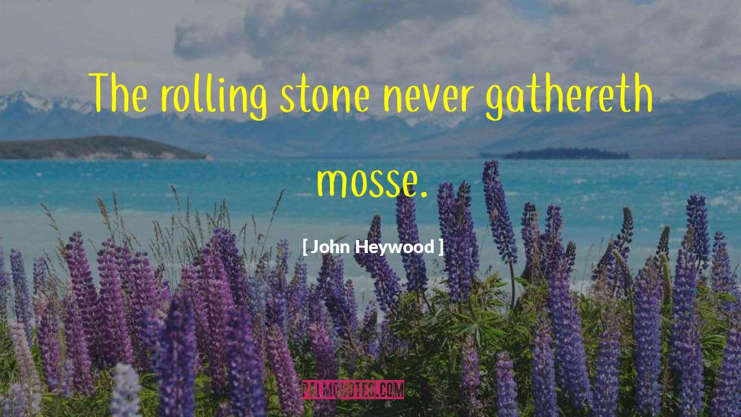 John Heywood Quotes: The rolling stone never gathereth