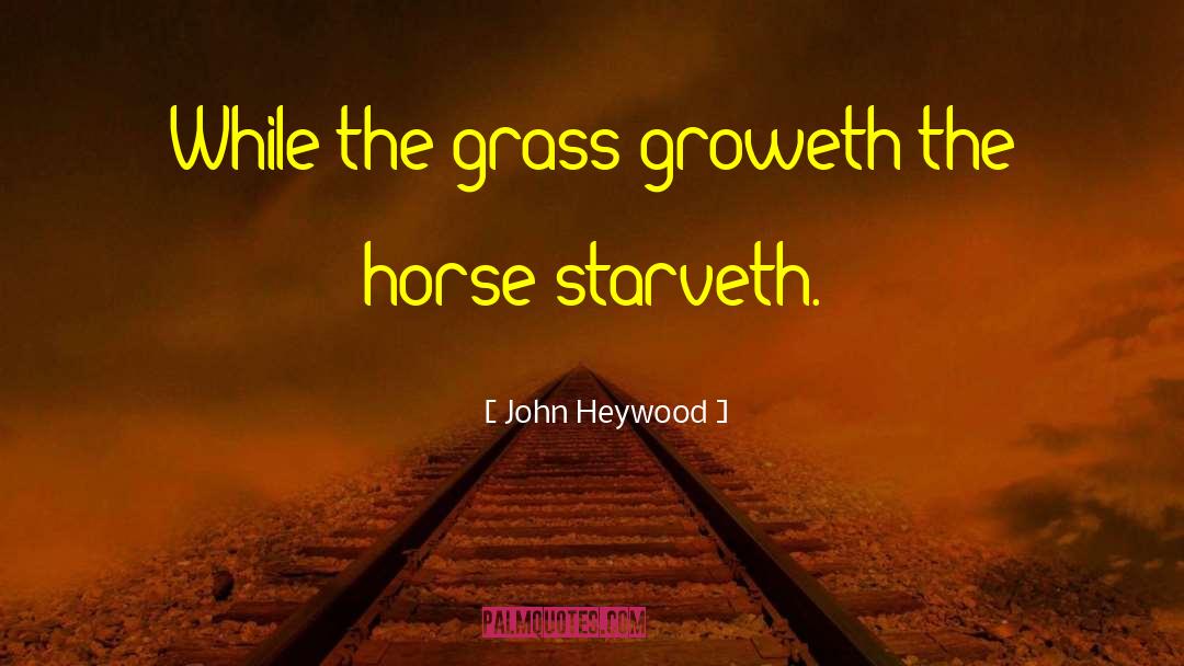 John Heywood Quotes: While the grass groweth the