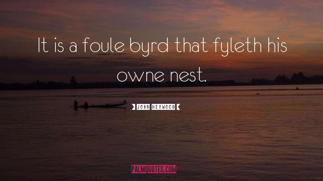 John Heywood Quotes: It is a foule byrd