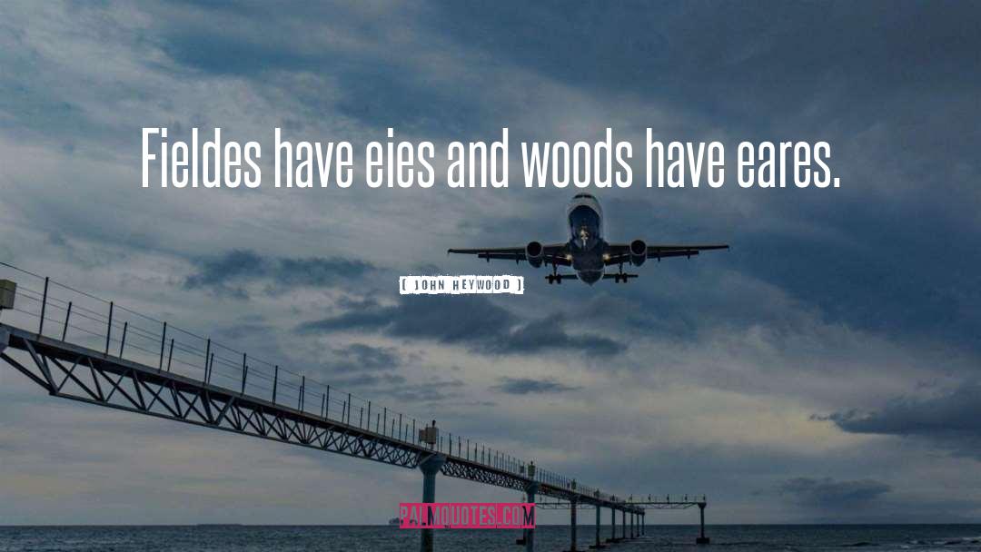 John Heywood Quotes: Fieldes have eies and woods