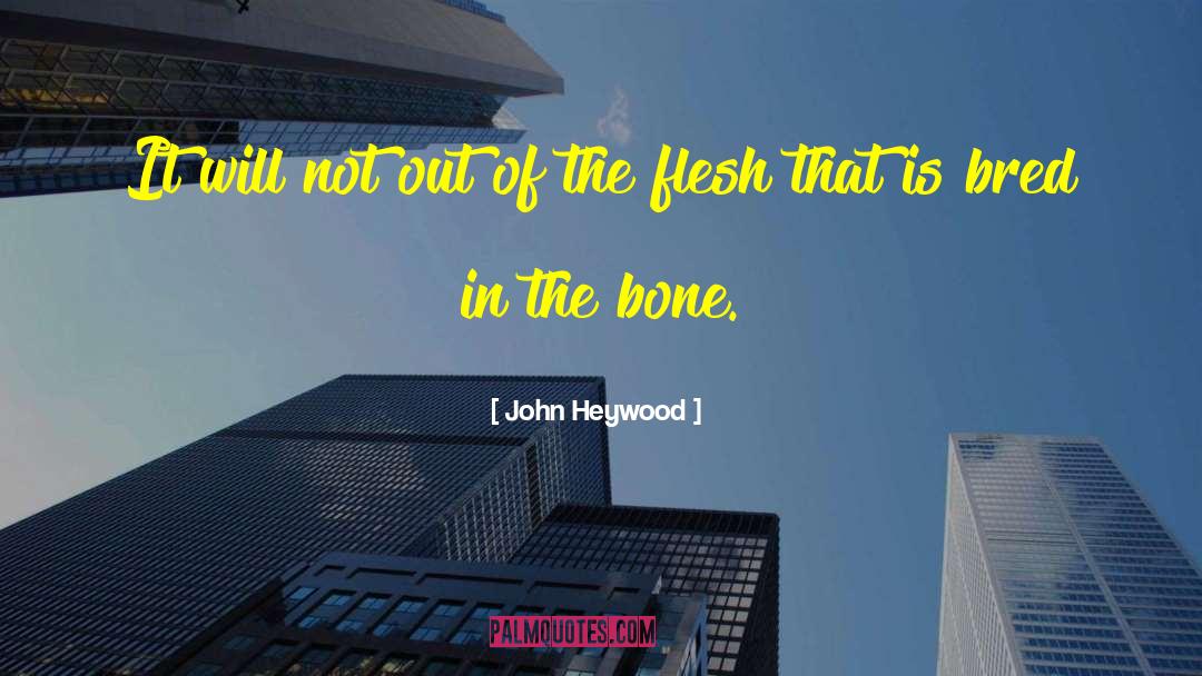 John Heywood Quotes: It will not out of