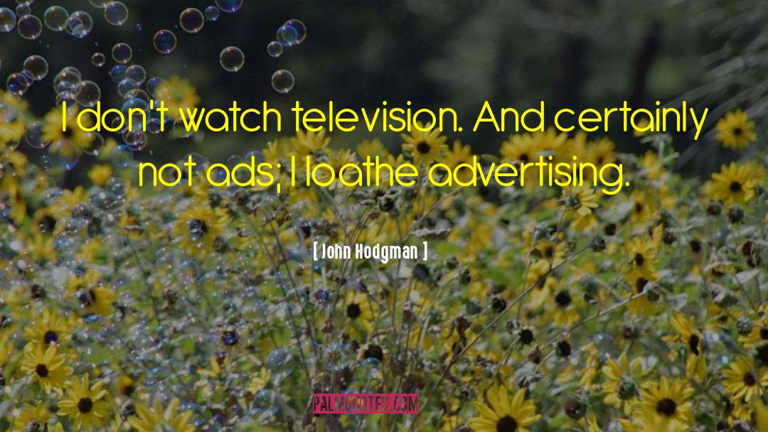 John Hodgman Quotes: I don't watch television. And