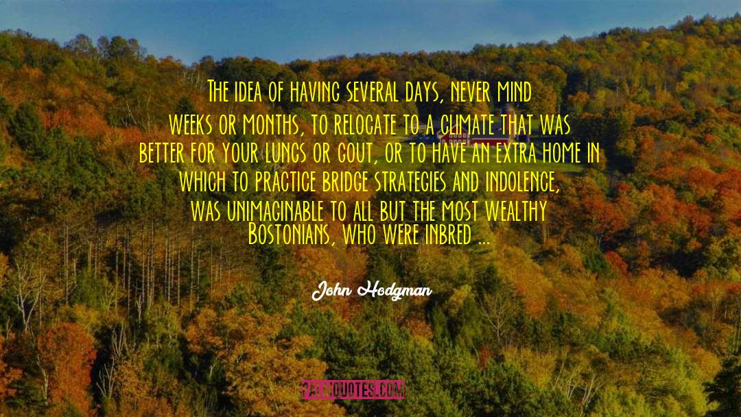 John Hodgman Quotes: The idea of having several
