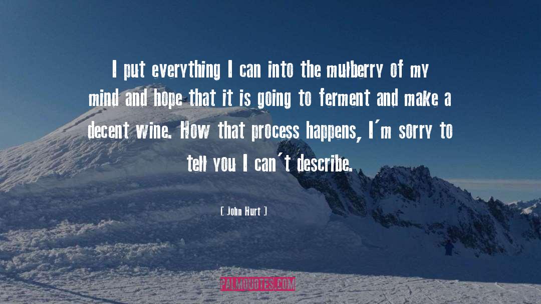 John Hurt Quotes: I put everything I can