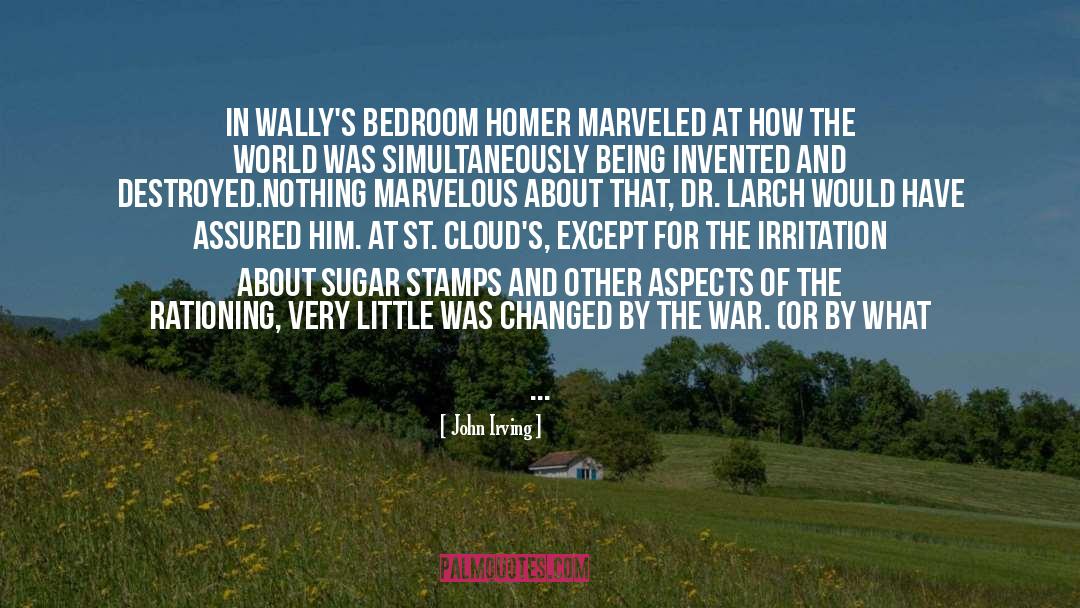 John Irving Quotes: In Wally's bedroom Homer marveled