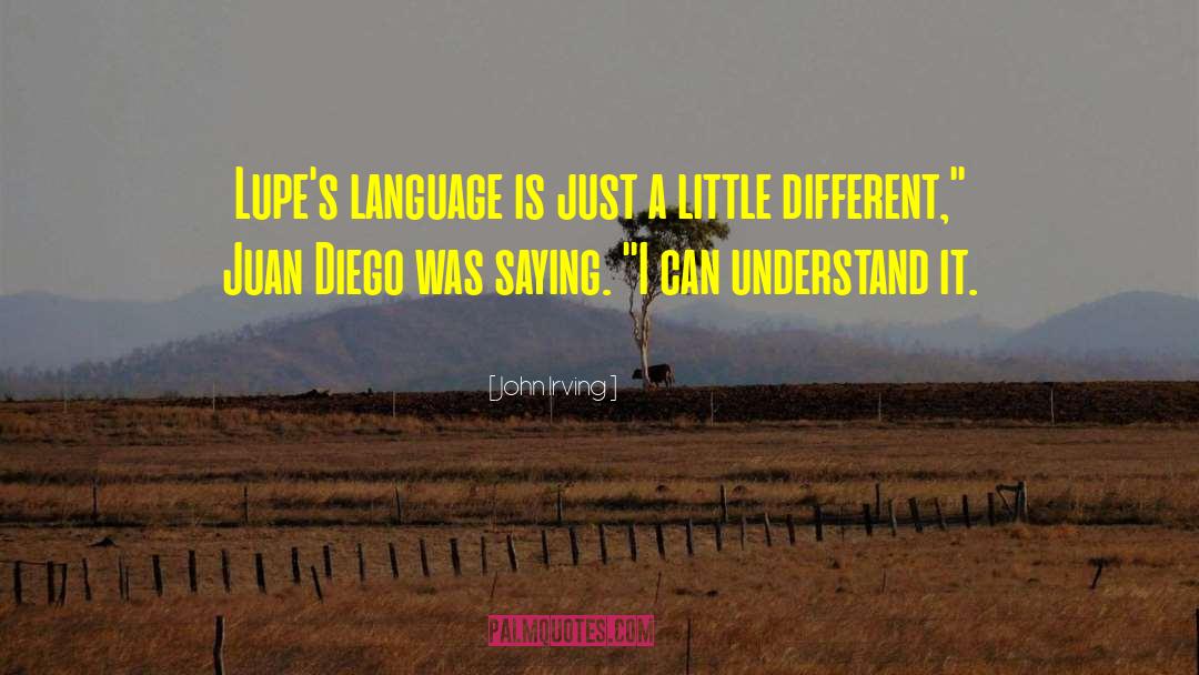 John Irving Quotes: Lupe's language is just a