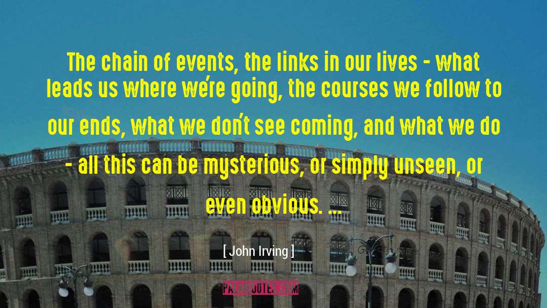 John Irving Quotes: The chain of events, the