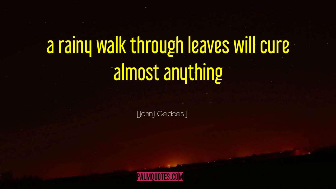 John J. Geddes Quotes: a rainy walk through leaves