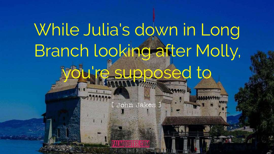 John Jakes Quotes: While Julia's down in Long