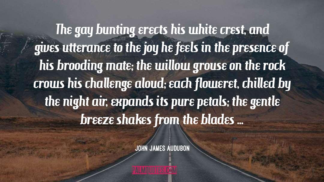 John James Audubon Quotes: The gay bunting erects his