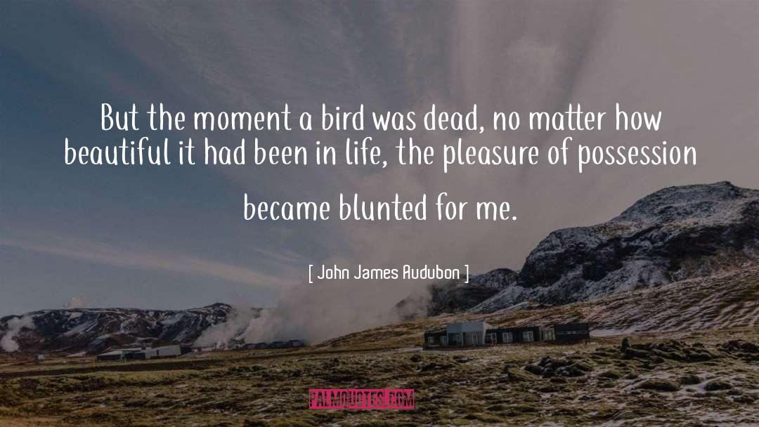 John James Audubon Quotes: But the moment a bird