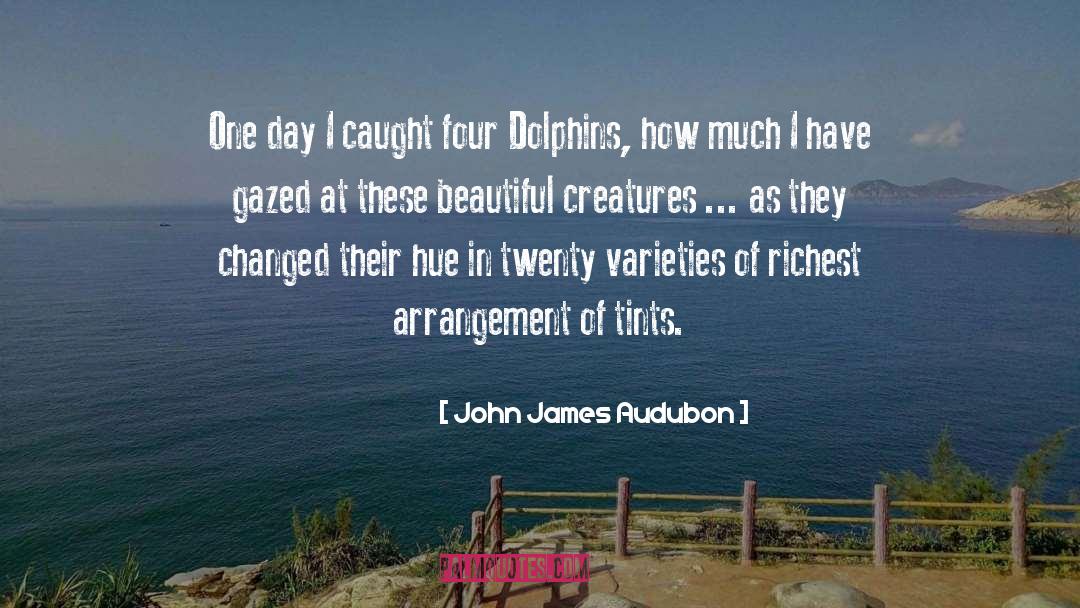 John James Audubon Quotes: One day I caught four