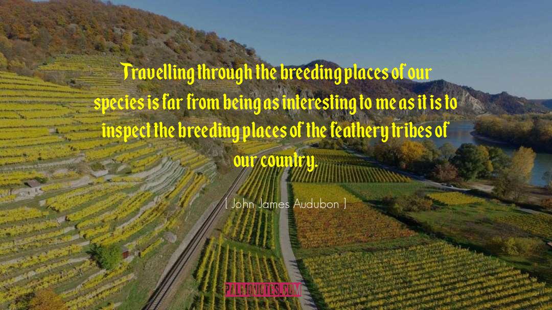 John James Audubon Quotes: Travelling through the breeding places