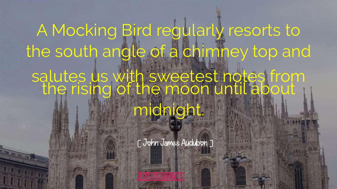 John James Audubon Quotes: A Mocking Bird regularly resorts