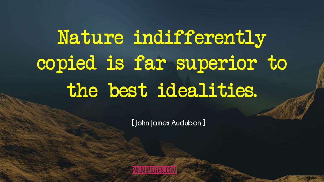 John James Audubon Quotes: Nature indifferently copied is far