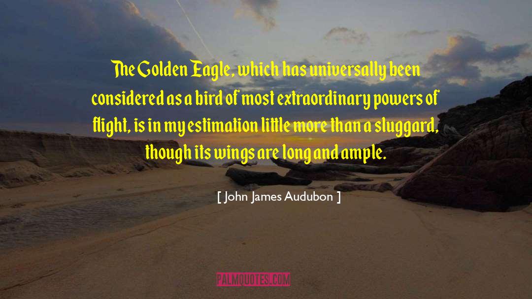 John James Audubon Quotes: The Golden Eagle, which has
