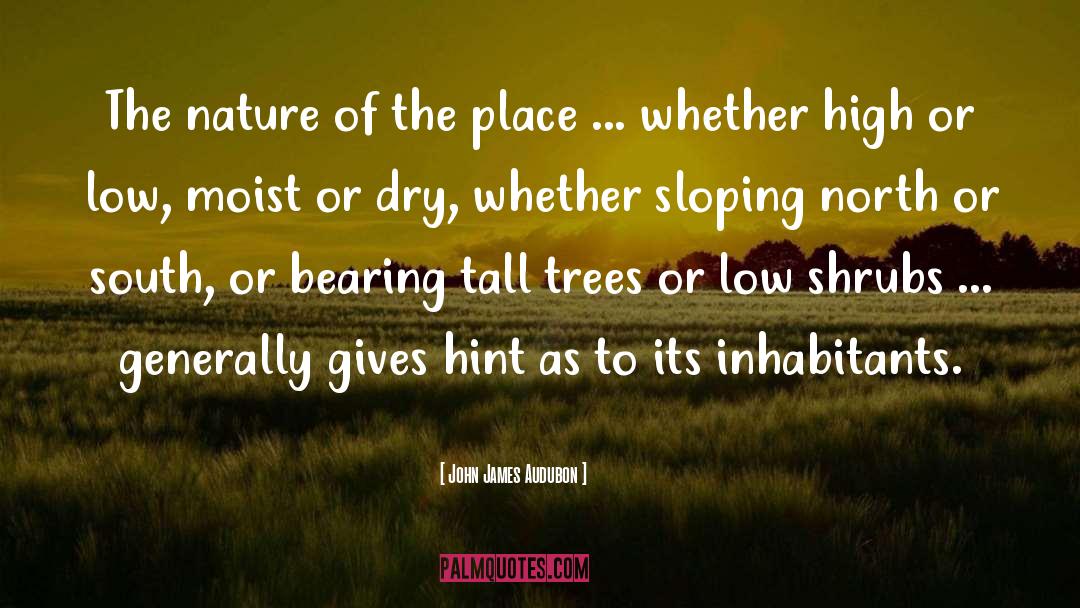 John James Audubon Quotes: The nature of the place