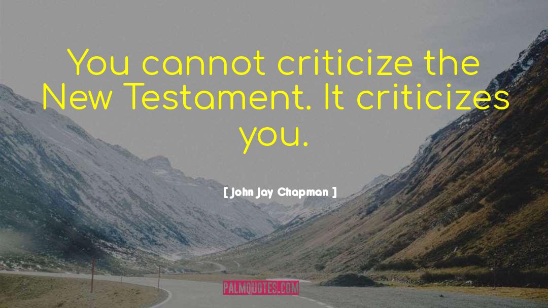 John Jay Chapman Quotes: You cannot criticize the New