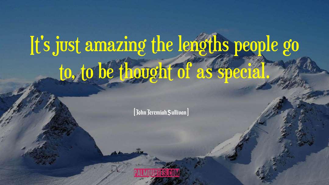 John Jeremiah Sullivan Quotes: It's just amazing the lengths