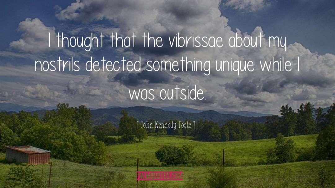 John Kennedy Toole Quotes: I thought that the vibrissae