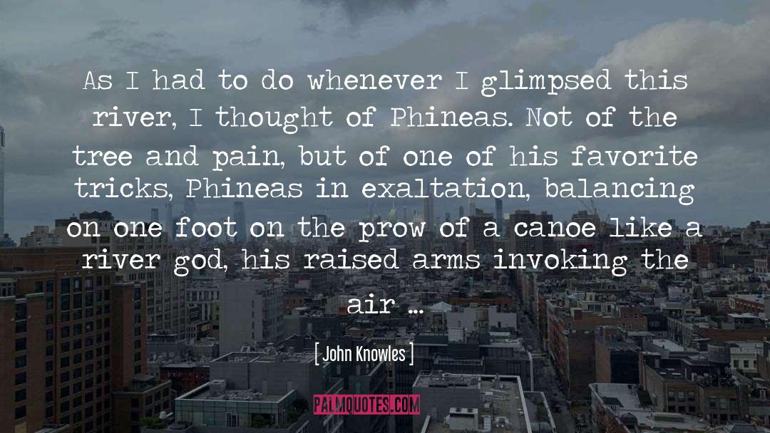 John Knowles Quotes: As I had to do