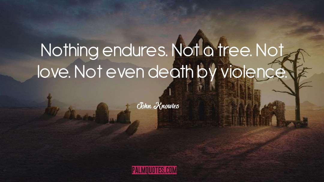 John Knowles Quotes: Nothing endures. Not a tree.