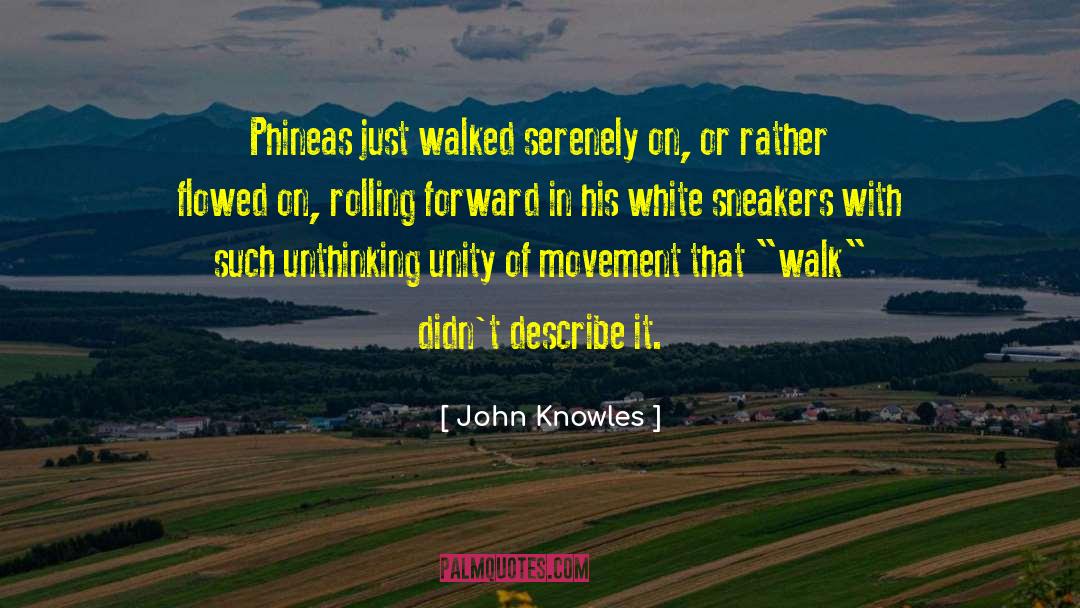 John Knowles Quotes: Phineas just walked serenely on,